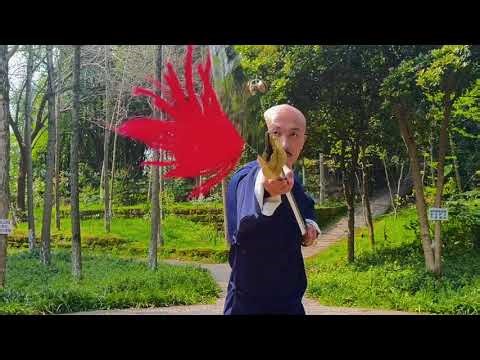 Xiang Yu Trapped: The Mysterious Story Behind the Iconic Battle