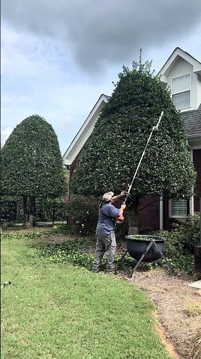 Stihl 131 R, HL-KM 145, HT-KM