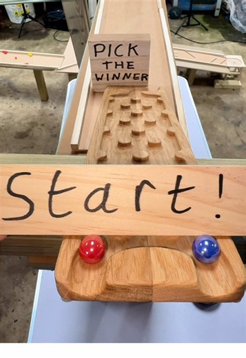 Can You Guess The Winner of the Marble Race?