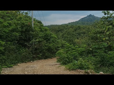 Perjalanan ke Dsn. Kedung Dendeng Ds. Jipurapah Kec. Plandaan Kab. Jombang