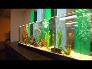 Bill Engvall Gets Tanked