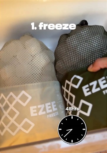 3 Simple Steps for Cost-Effective Ice Cubes