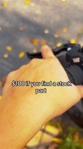$100 If You Find a Stock Part - Ridstar High Quality Challenge