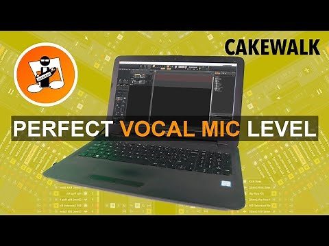 Get the perfect vocal mic input level in Cakewalk by Bandlab!