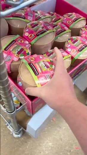 We Scored Watermelon RMS Dumplings at Five Below! 🍉🥟