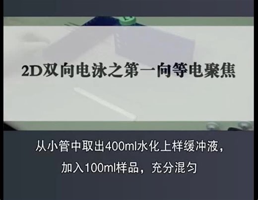 双向（2-D电泳）原理及操作