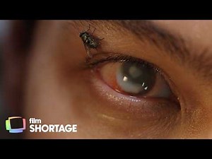 The Itch (Sci-Fi / Suspense) | A body in decay. A mind unraveling.