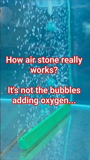 Aquarium oxygen pump? Air stone oxygenate aquarium?? #aquarium #aquascaping #plantedtank hyderabad
