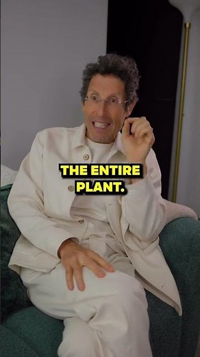 Microgreens vs. Sprouts: What's the Difference?