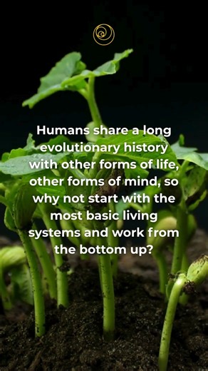 Are you guilty of "plant blindness"? Writer Amanda Gefter discovers that she was. In “What Plants Are Saying About Us,” Gefter learns that her houseplants are endowed with feelings and memories, shifting her thoughts on human perception. | Nautilus Magazine