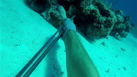 Dropping Everything for the Bahamas was the Best Decision Ever