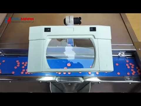 Tablet Inspection Machine with Twin Belt Conveyor | High-Speed Manual Visual Tablet Sorting System