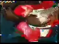 Explore the Best of Old School Music in Zimbabwe