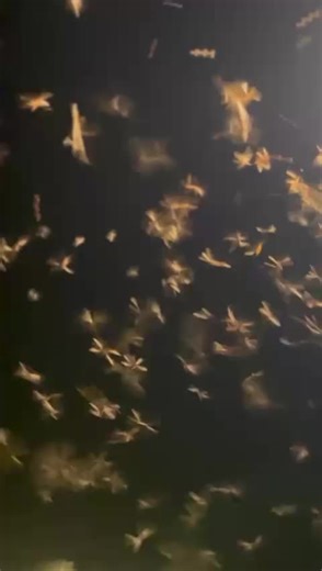 Rokanmi osibata (@abiodunscripted)’s videos with original sound - Rokanmi osibata