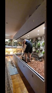 #enclosure #burmesepython #reptilekeeper #amazing #terrariumbau #reptilesoftiktok #tiktok #tiktokgermany #python #snake #tooltime #work #exoticpets #wow #terrarium #viral #viraltiktok #foryou #4u #schlange #bobderbaumeister #love #leidenschaft #passion #cash #money #rain
