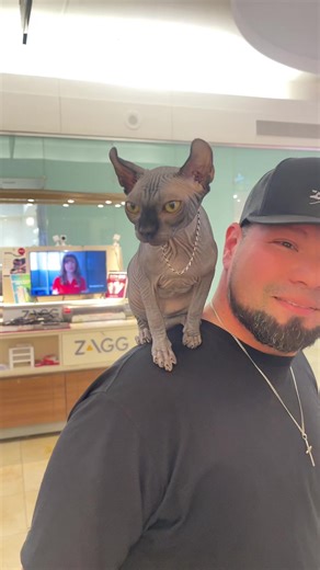 #exoticpetsoftiktok #fyp #exoctic #pets