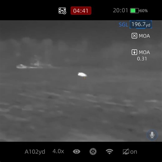 22 creedmoor explodes pig .#horizonfirearms #boarhunting #22creedmoor #infiray