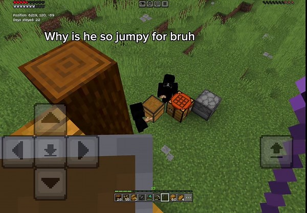 My experience with the obsessed knocker mod… . . . I’m extremely lonely so I had to download this #fyp #minecraft #knocker #mod #imgay