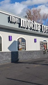 Where great drinks meet main-character energy. #mochatree | The Mocha Tree Espresso