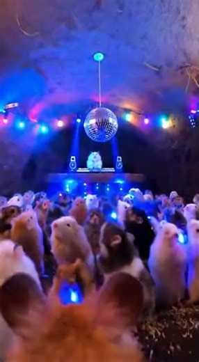 gopro camera in mouse