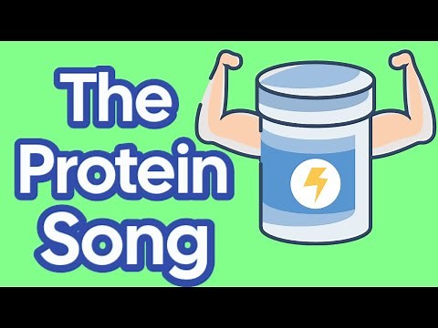 The Protein Song (Songs About Protein) Happy Protein Day (February 27th)