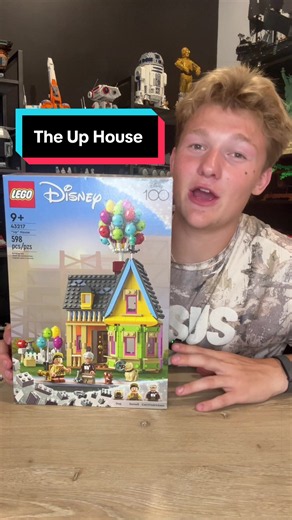 LEGO Up House replica — Road to 20K build