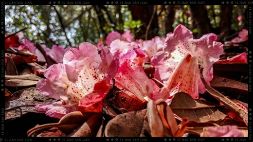 【E07-】我的最新作品，快来一睹为快！