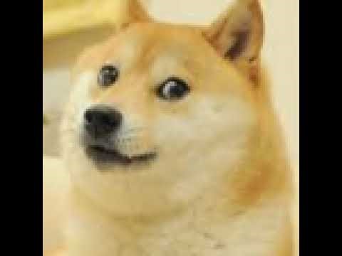 windows malware test Live Stream