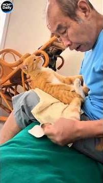Funny cats!🥰🥰/Смешные котики🥰🥰76