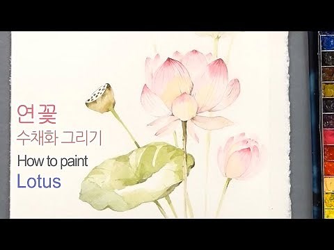 How to paint Lotus Flower in watercolor