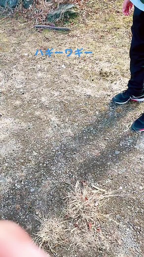 TikTokでルアくんさんをチェック！