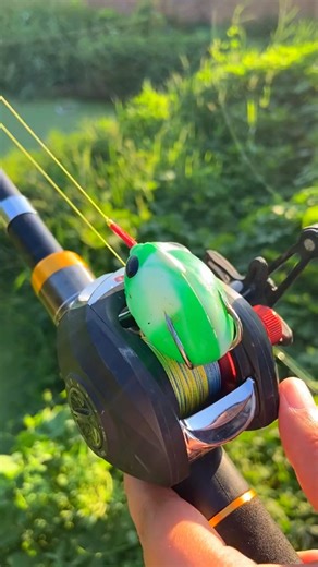 fishcampvietnam | 🎣 SMALL ROD… BIG CATCH! 💥 Don’t let the size fool you! This Mini Fishing Rod is compact, powerful, and ready for action anytime, anywhere.... | Instagram