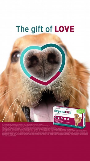 Simparica South Africa on TikTok