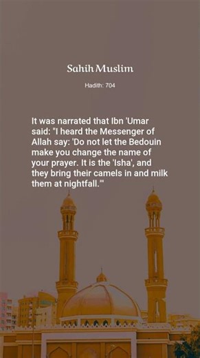 Sahih Muslim, Hadith: 704, The Book of Menstruation