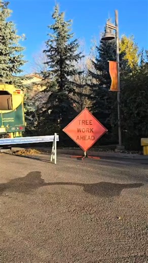 The big trees outside of Kitamba are strung up with lights and that means brr-illiant news - ZOOLIGHTS, presented by Olympia Trust Company, begins this week! 🙌 Join us for Calgary’s favourite holiday tradition and make unforgettable memories amidst the dazzle of lights. ✨ With plenty of delectable concessions, phot ops, and activities, you’ll discover the magic of the season. 💖 Thanks to our friends at Bartlett Tree Experts for helping us sparkle during ZOOLIGHTS! Get your tickets now with the