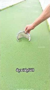 لماذا يأكل التايلانديون هذه النباتات 🌿