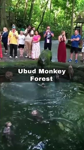 Top 10 Must-Visit Places in Bali | Ultimate Travel Guide 2025