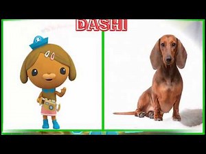 The Octonauts Characters In Real Life - Characters & Voice Actors!