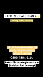 Peternak Sapi Indonesia on Reels | Facebook