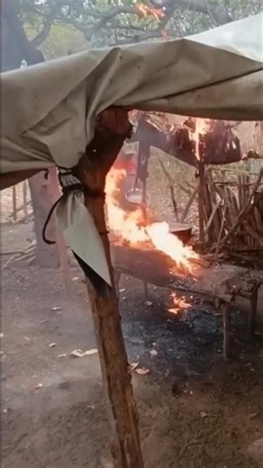 fire !! #viral #funny #comedy #memes #comedyfunnymusic