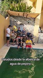 25K views · 20K reactions | #tenampabrasaband #Tenampa #Brassband #Beegees #stayinalive #trombone #Trumpet #Tuba #sax #Brassworld #Brass #Parati #Viral #Albercadepepino | Tenampa Brass Band | Facebook