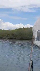 Here is an update on the Port of Anse a Galets: The port appears notably deserted and far removed from its former bustling state. The Ozone Express ferry, seen within the port, has remained unused for over a year and appears to be in a state of neglect. We hope to see the port back to its previous state in the future. 🙏🏼 | La Gonave Haiti Partners