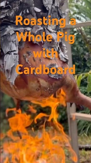 Vietnamese Cardboard Roasted Pig – Traditional Cooking Method
