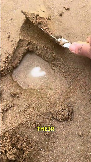 Creating Heart Shapes in Sand with Water.