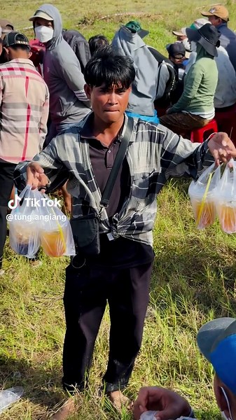 Lễ hội đua bò Bảy Núi 2024: Trực tiếp và Hấp dẫn