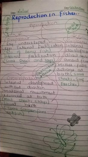 Reproductive system in fish