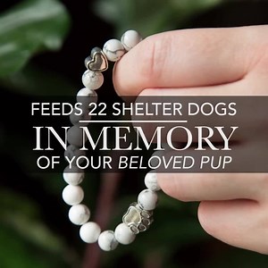 230K views · 11K reactions | IN LOVING MEMORY: When a dog crosses over the Rainbow Bridge, they always take a piece of your heart with them. We crafted a unique and symbolic bracelet that memorializes the relationship you have with a dog who has passed on. **Honor your pup’s memory - The 22 beads feed 22 shelter dogs! *Limitied Quantity ▬▬► Click below for more info! | iHeartDogs | Facebook