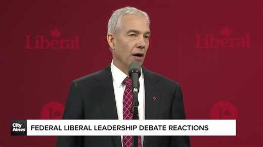 Frank Baylis, federal Liberal leadership English debate reaction