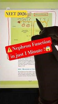 👉How Henle's loop of Nephron Functions |Excretory Products and elimination #neet2026 #nee