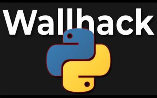 如何使用 Python 为任何游戏制作透视作弊器